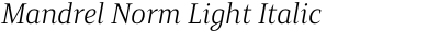 Mandrel Norm Light Italic